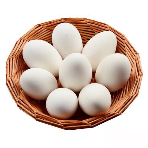 Trứng vịt